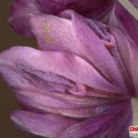 /photo////567166/111/z71a@r`[}4o4i@$i57w2_1_3_small.jpg